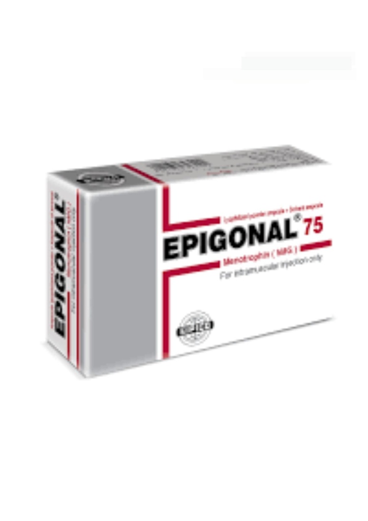 Epigonal 75 i.u vial 1