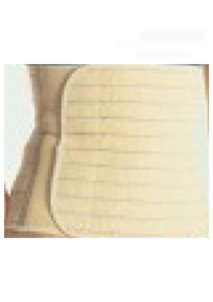 Jasper Multi-Panels Trimming Belt M F801