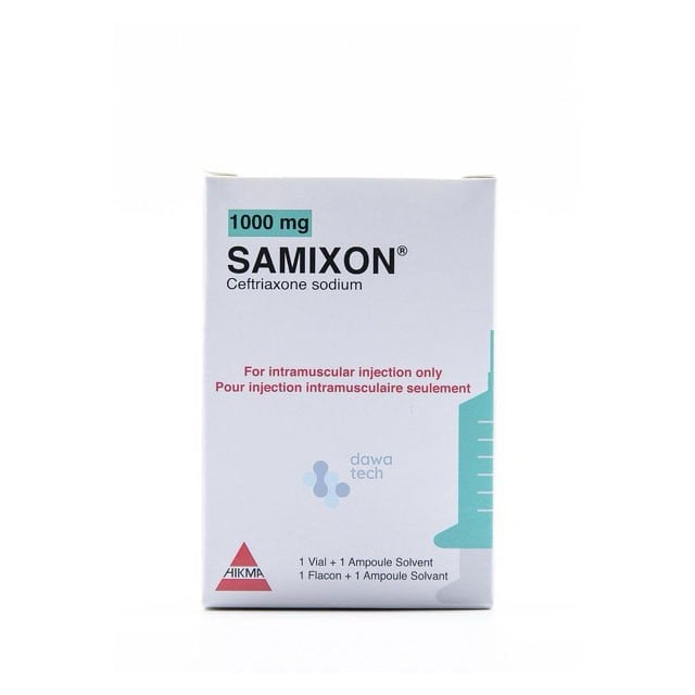 Samixon Im 1000mg 1vial