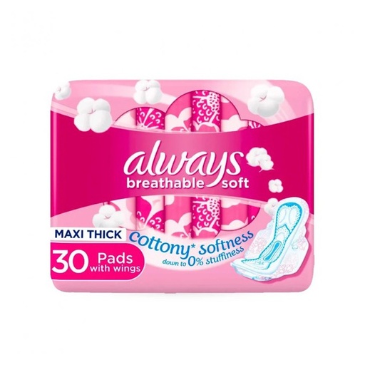 [372] Always Pink Large Wings Cotton 6*30s