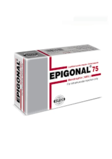 [7378] Epigonal 75 i.u vial 1