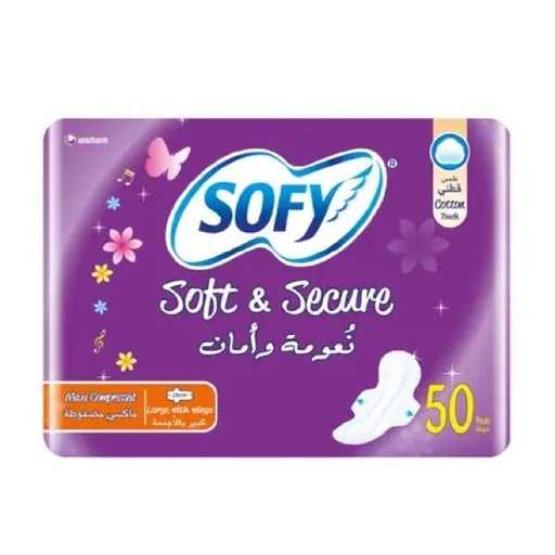 [13273] Sofy Slim Long Wings 60 pcs