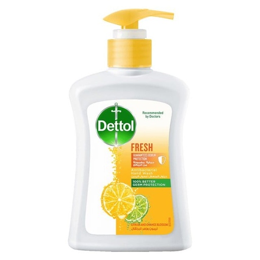 [13846] Dettol Liquid Soap Fresh Pump 250ml