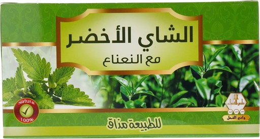 [17286] Lipton Green Tea with Mint Bags 30s