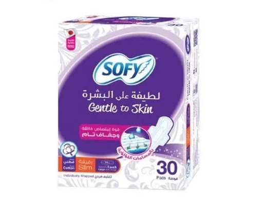 [17446] Sofy Gentle To Skin Cotton Slim Large Wings 30 pcs