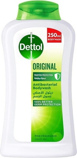 [20734] Dettol Shower Gel Skin Care 12X250ML