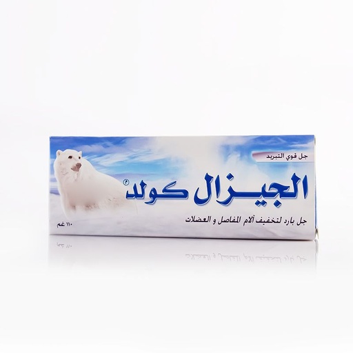 [25256] Algesal Cold Gel 100g